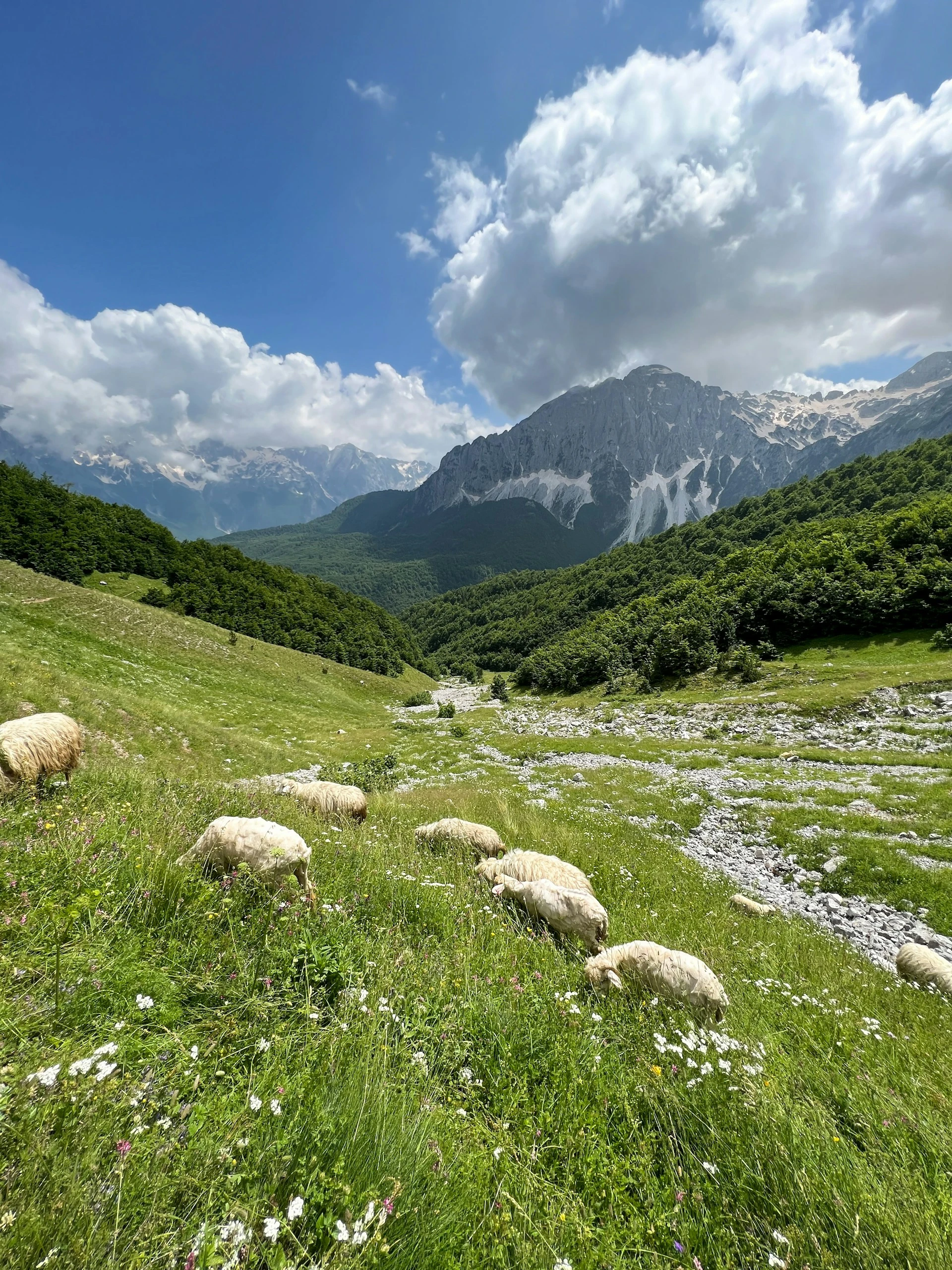 Valbona, Albania