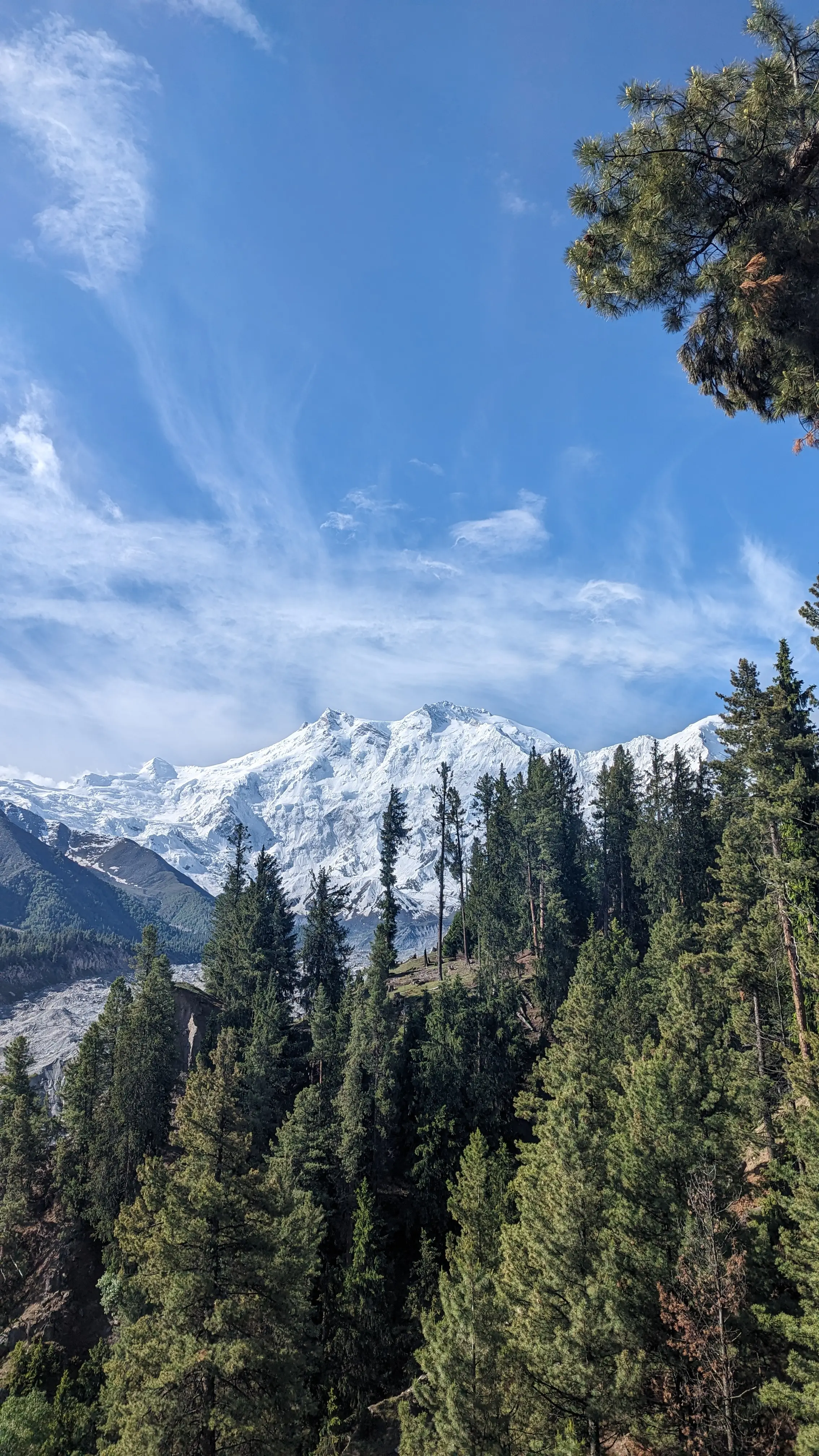 Nanga Parbat, Diamer